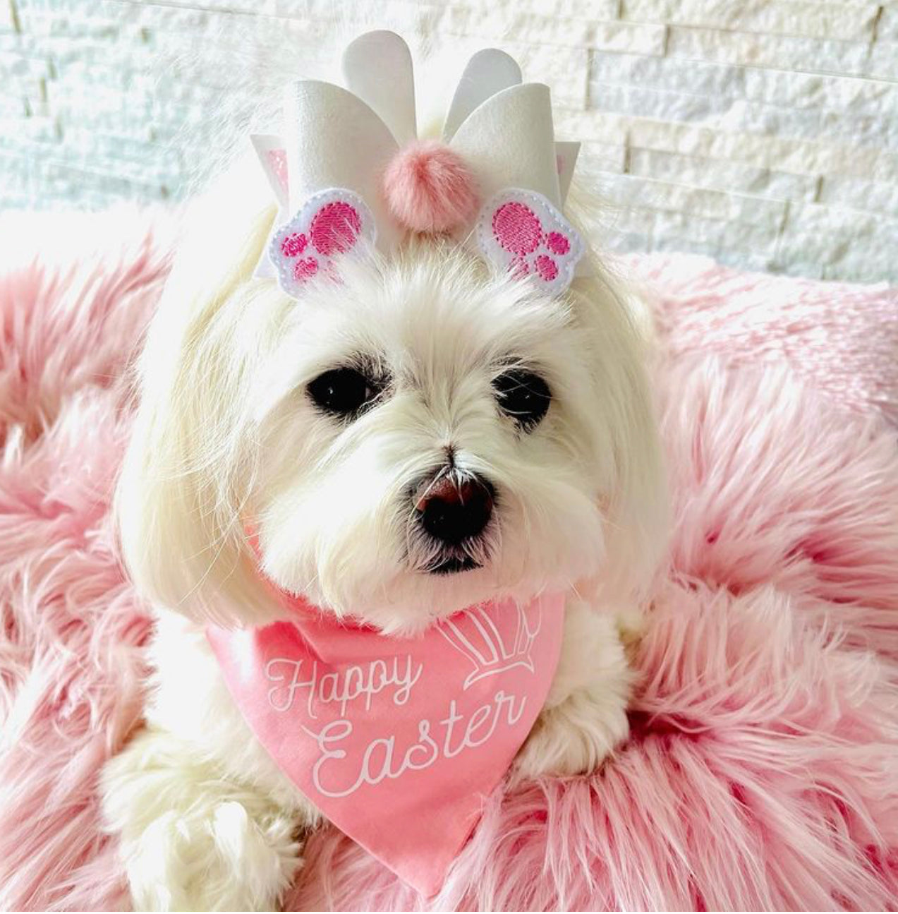 Cute Bunny Tail Bow